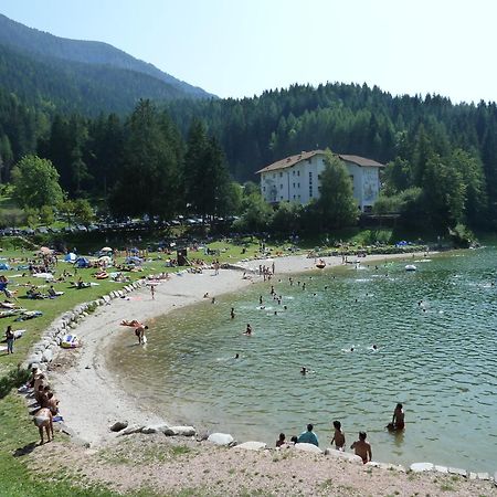Hotel Pineta バゼルガ・ディ・ピネ エクステリア 写真