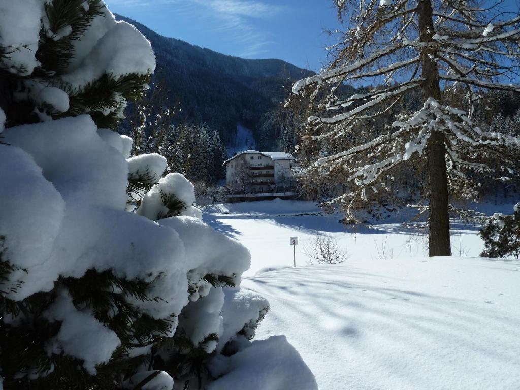 Hotel Pineta バゼルガ・ディ・ピネ エクステリア 写真